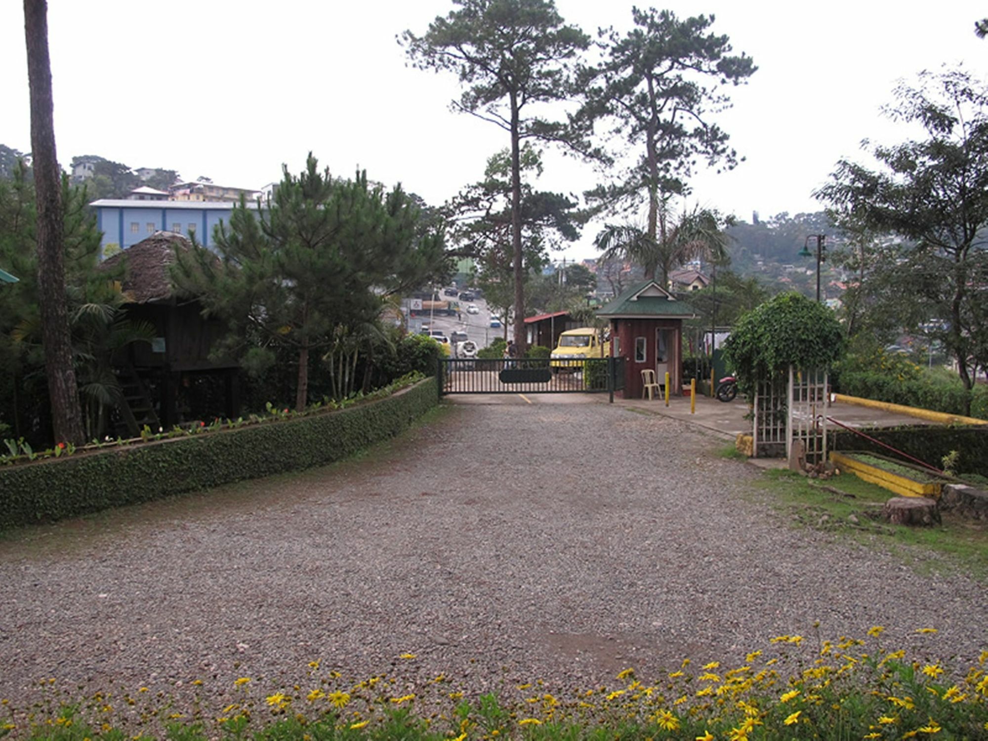 Pine Breeze Cottages Baguio City Exterior photo